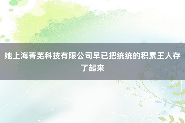 她上海菁芜科技有限公司早已把统统的积累王人存了起来